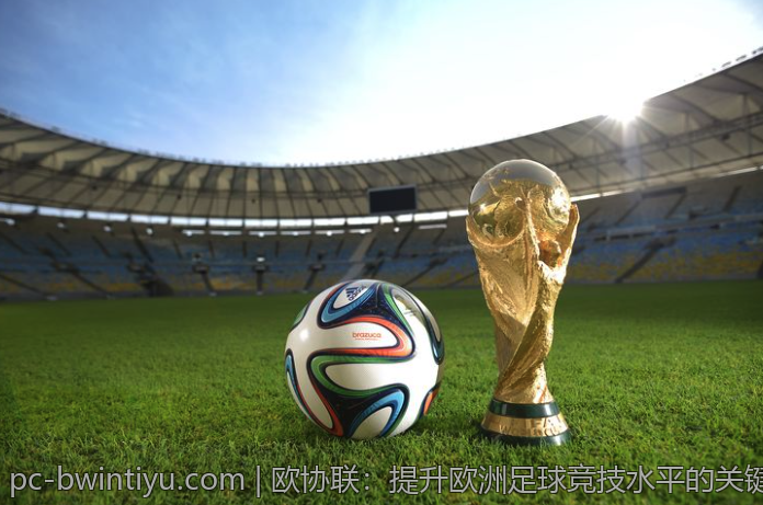 2026年羽毛球世界锦标赛决赛现场精彩纷呈